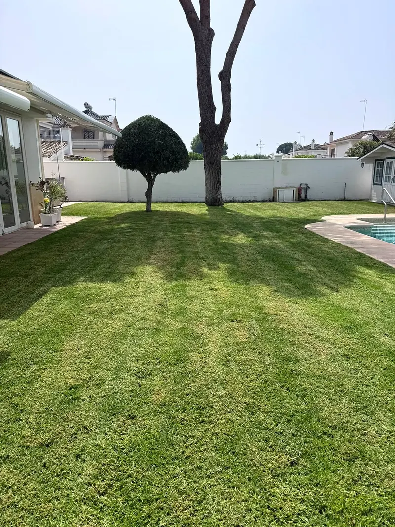 Gran pradera de césped con topiario y piscina en El Puerto de Santa María