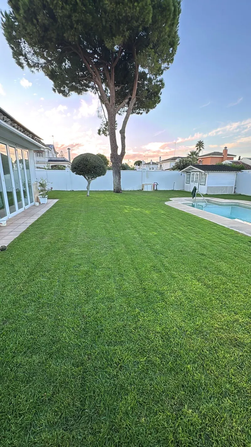Jardín con césped y piscina al atardecer en un chalet de Vistahermosa