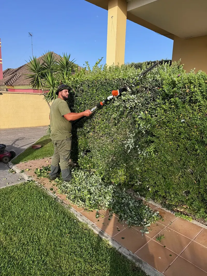 Alfonso recortando un seto con recortasetos de batería en un chalet de Vistahermosa
