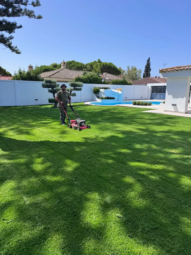Césped recién segado entre topiarios en un chalet de Vistahermosa